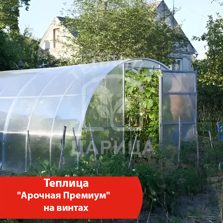 Арочные теплицы - купить недорого в интернет-магазине Теплица Царица в  Великом Новгороде